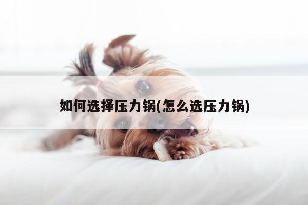 bbin娱乐场_如何选择压力锅(怎么选压力锅)