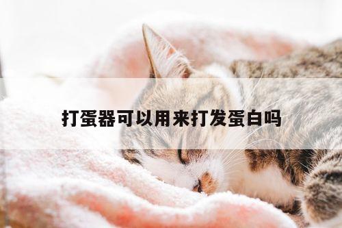 打蛋器可以用来打发蛋白吗|bbin娱乐场