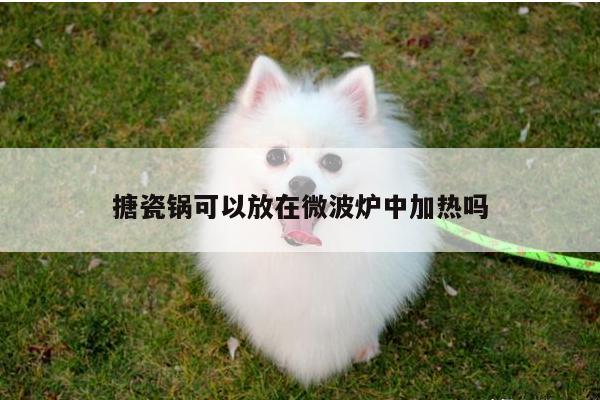 中国bbin宝盈集团有限公司-搪瓷锅可以放在微波炉中加热吗