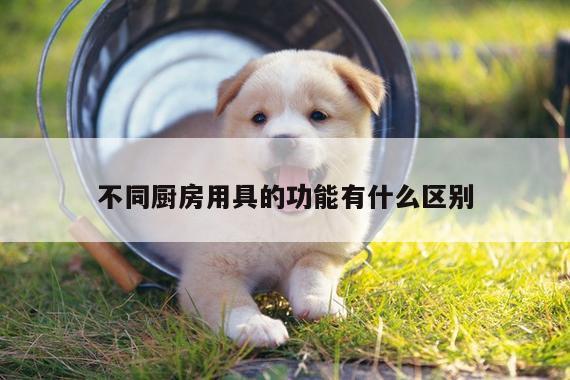 不同厨房用具的功能有什么区别_中国bbin宝盈集团有限公司