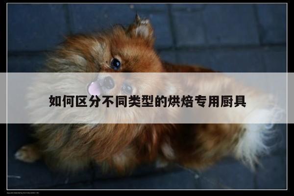 【BBIN宝盈】如何区分不同类型的烘焙专用厨具