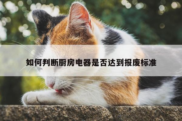 如何判断厨房电器是否达到报废标准【bbin娱乐场】